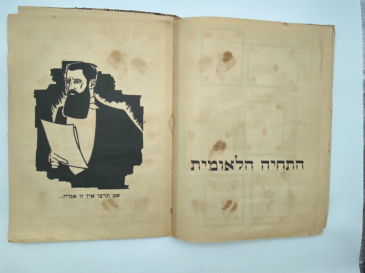 אלבומי מדבקות - אלבום תמונות לדברי ימי ישראל - שנות ה-30 פלשתינה - ארץ ישראל הוצאת האחים מספרו - בית חרושת ... - 1 20