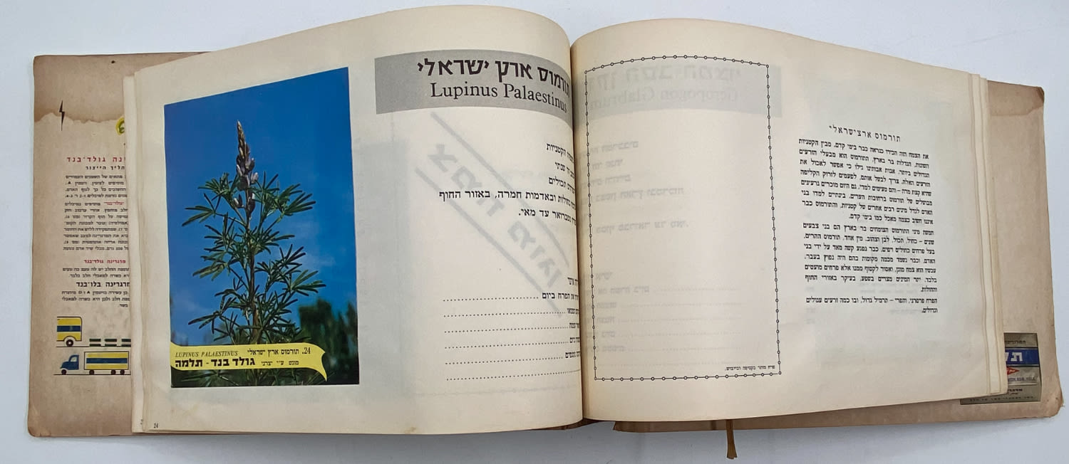 אלבומי מדבקות - אלבום מדבקות פרחי בר בישראל, אלבום מלא
פרחי ... - 1 9