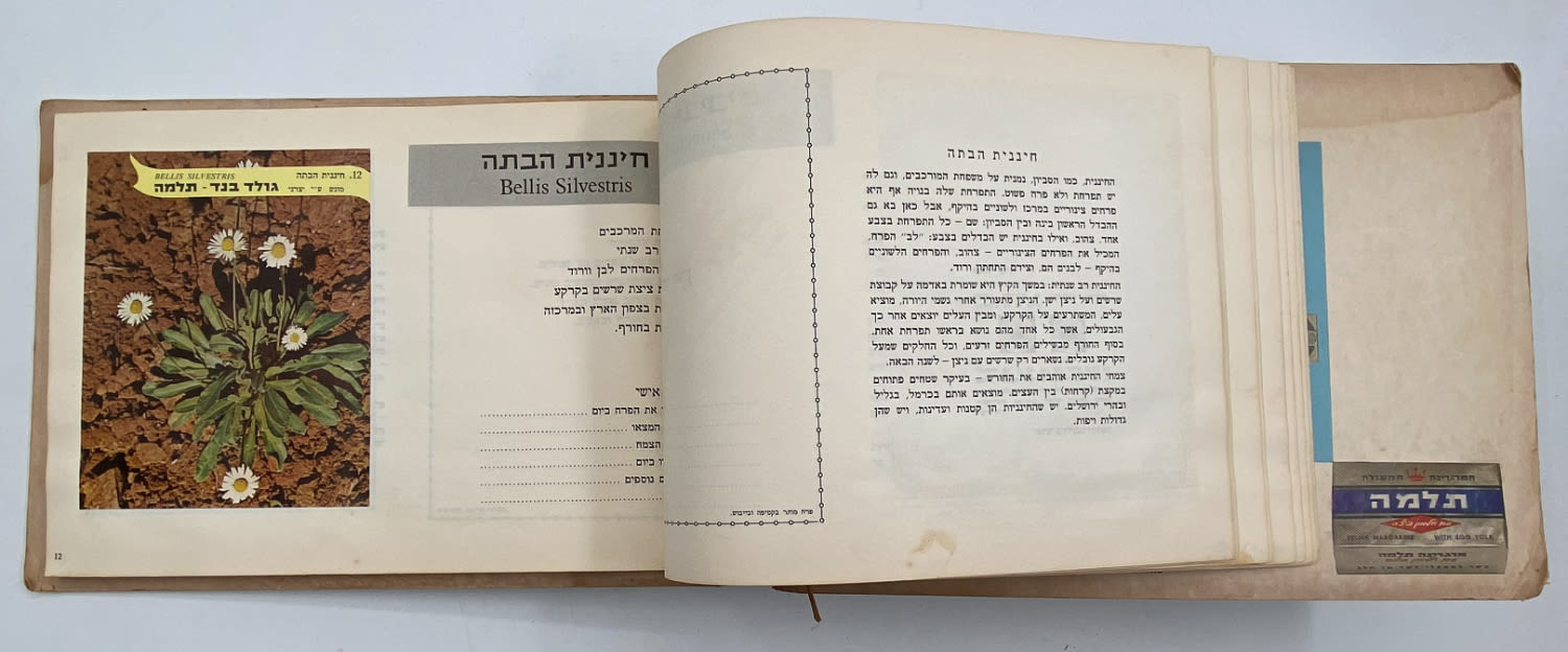 אלבומי מדבקות - אלבום מדבקות פרחי בר בישראל, אלבום מלא
פרחי ... - 1 7