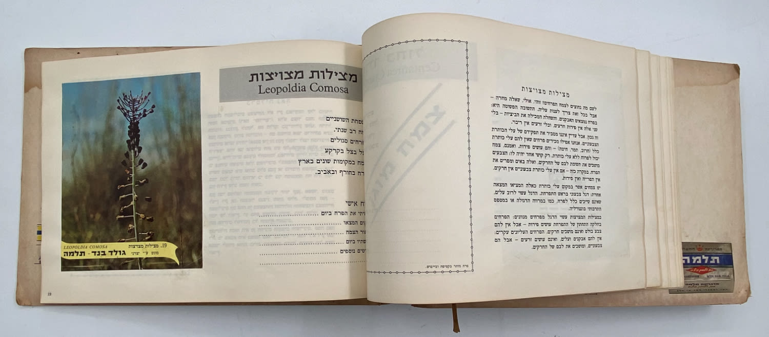 אלבומי מדבקות - אלבום מדבקות פרחי בר בישראל, אלבום מלא
פרחי ... - 1 8