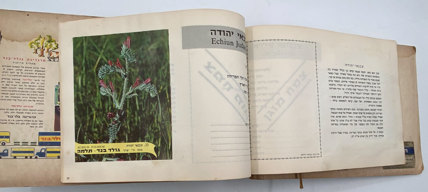 אלבומי מדבקות - אלבום מדבקות פרחי בר בישראל, אלבום מלא
פרחי ... - 1 10