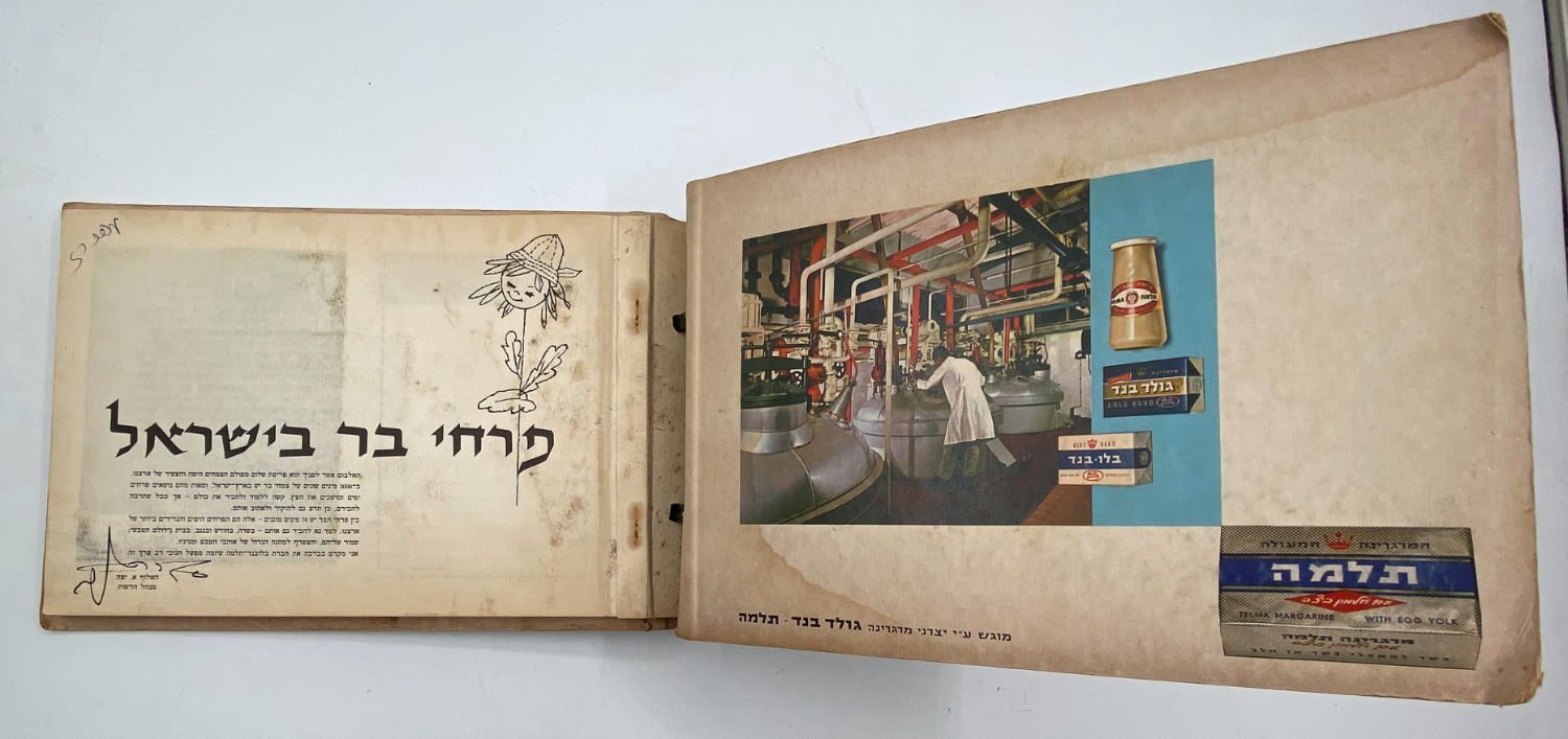 אלבומי מדבקות - אלבום מדבקות פרחי בר בישראל, אלבום מלא
פרחי ... - 1 3