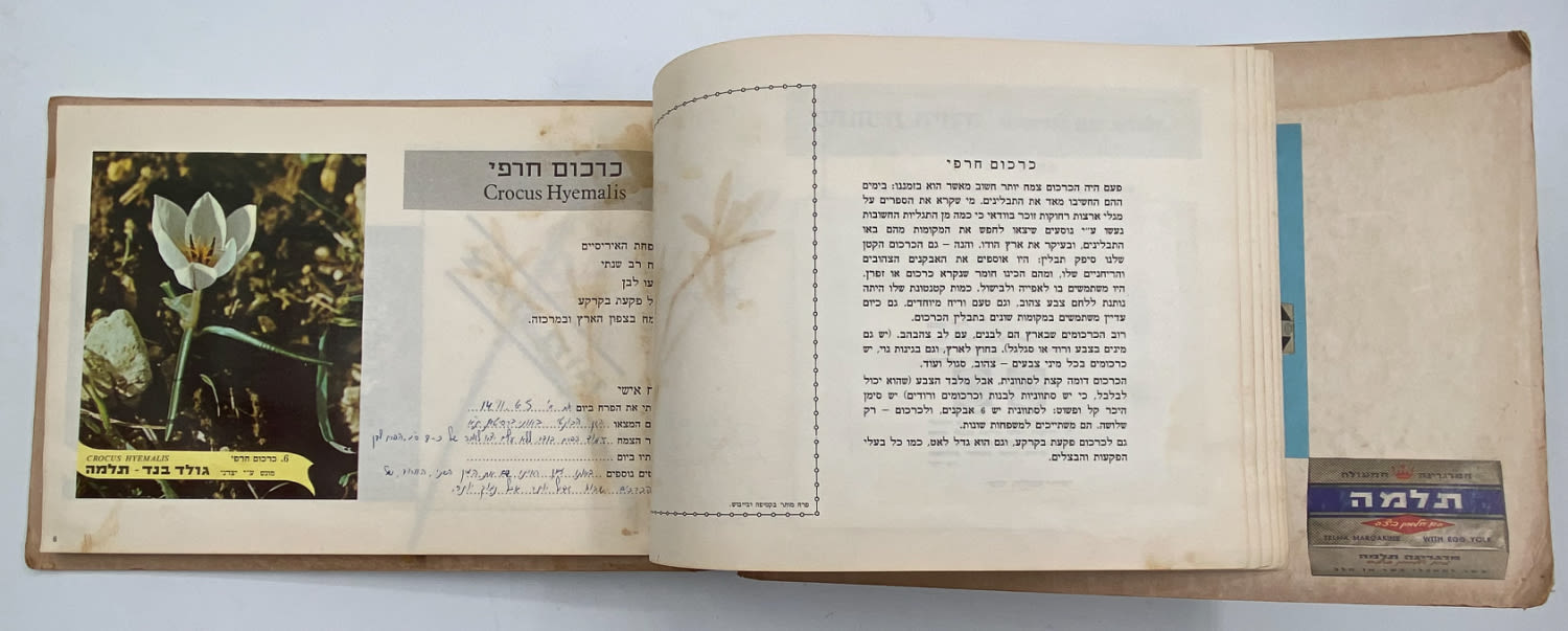 אלבומי מדבקות - אלבום מדבקות פרחי בר בישראל, אלבום מלא
פרחי ... - 1 6