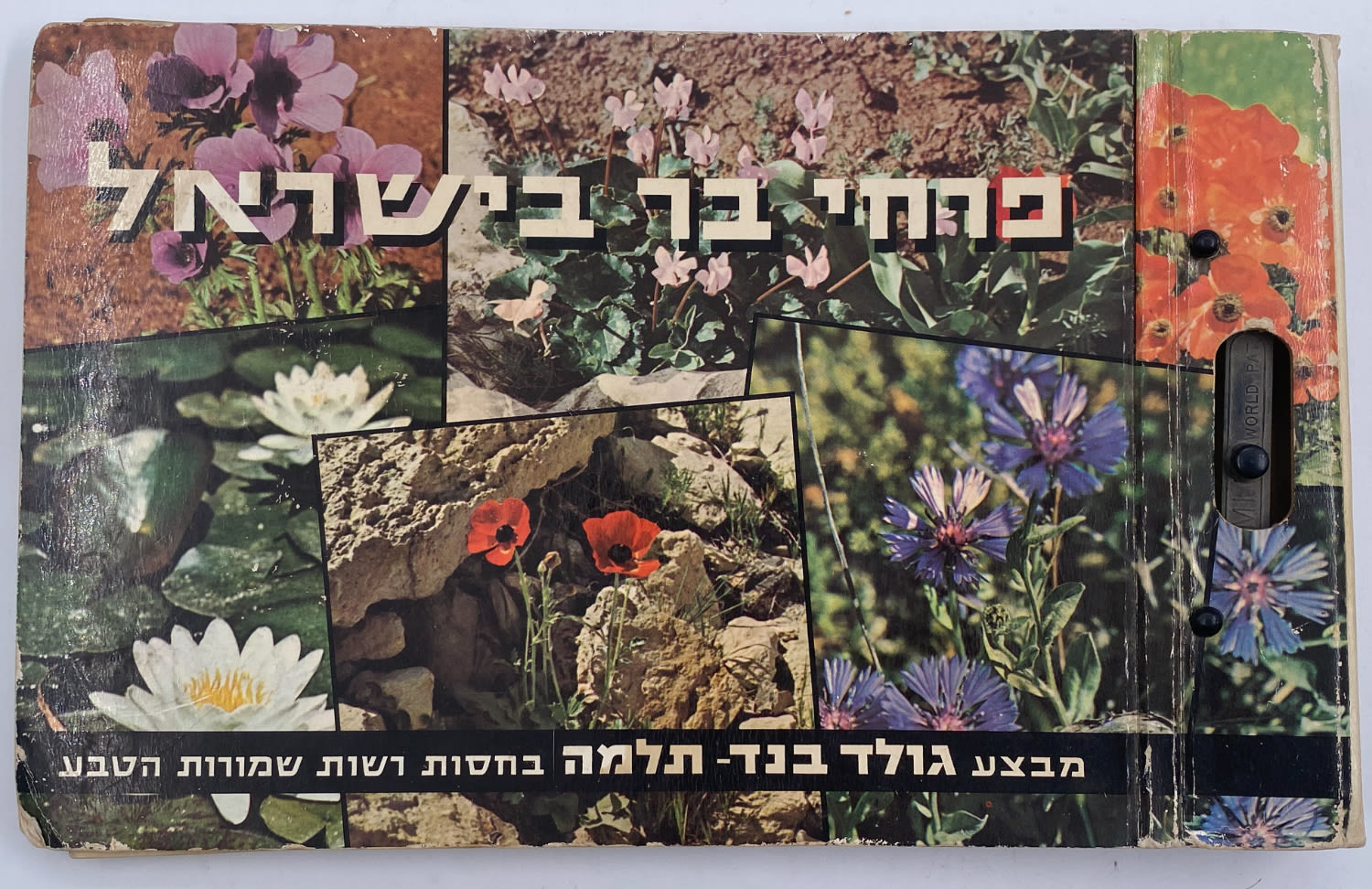 אלבומי מדבקות - אלבום מדבקות פרחי בר בישראל, אלבום מלא
פרחי ... - 1 0
