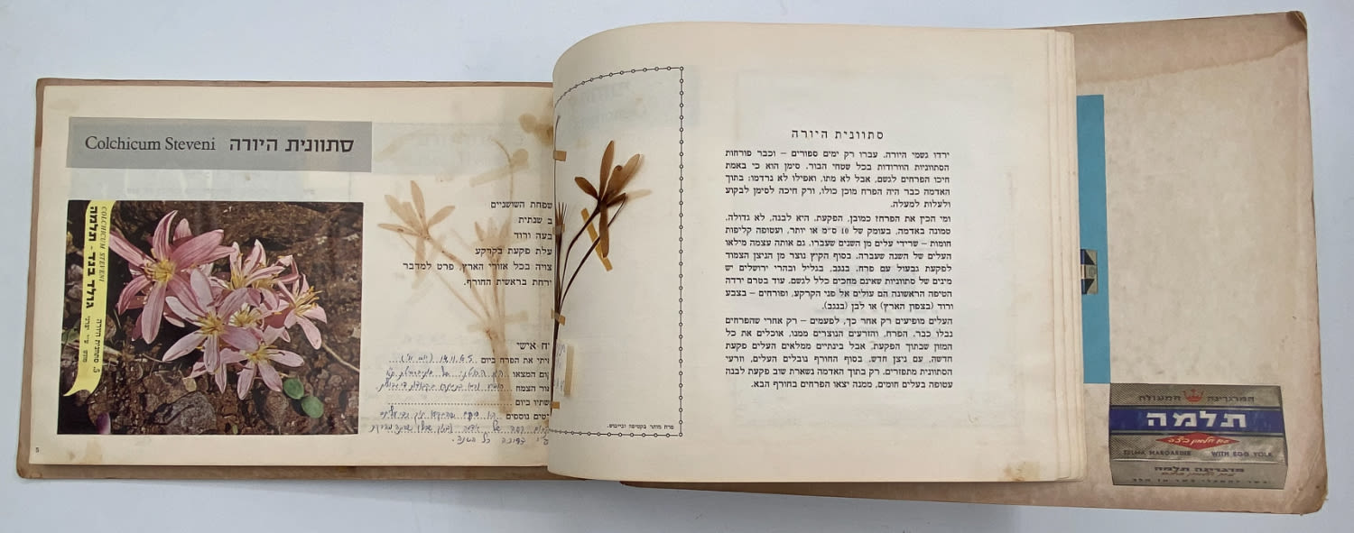 אלבומי מדבקות - אלבום מדבקות פרחי בר בישראל, אלבום מלא
פרחי ... - 1 5