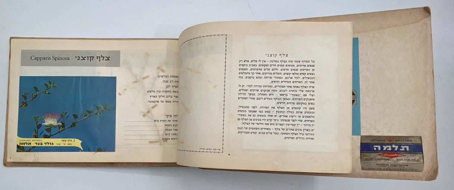 אלבומי מדבקות - אלבום מדבקות פרחי בר בישראל, אלבום מלא
פרחי ... - 1 4