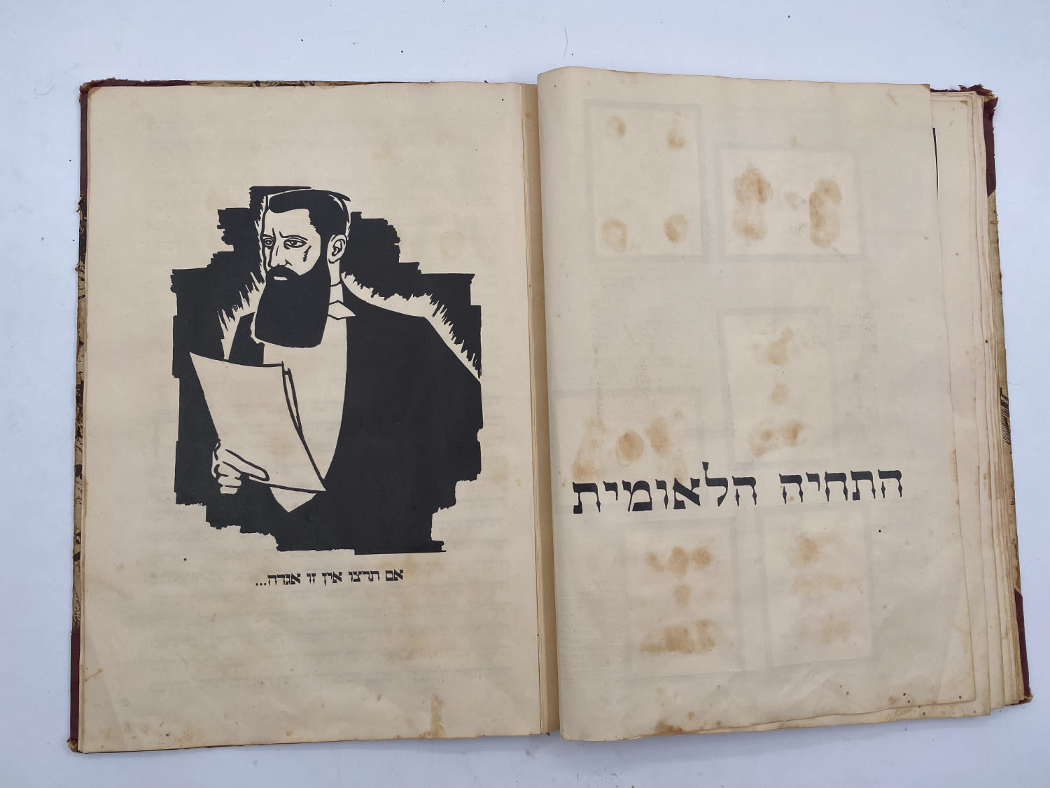 אלבומי מדבקות - אלבום תמונות לדברי ימי ישראל - שנות ה-30 פלשתינה - ארץ ישראל הוצאת האחים מספרו - בית חרושת ... - 1 20