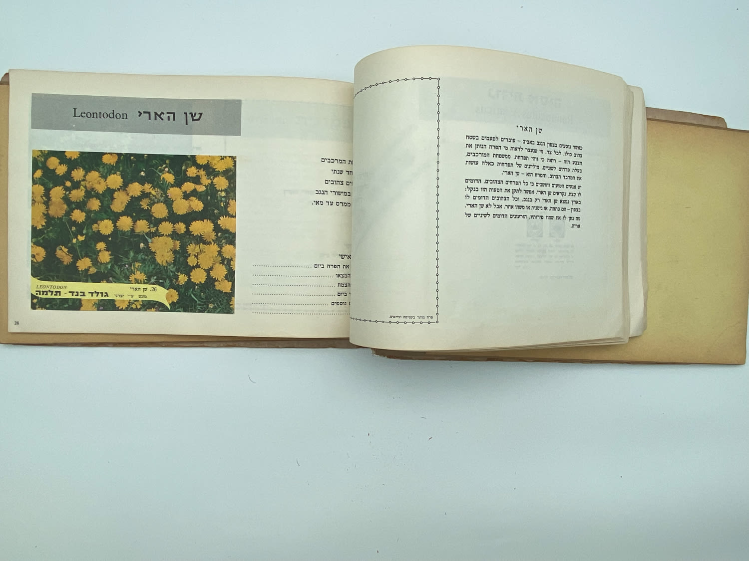 אלבומי מדבקות - אלבום מדבקות פרחי בר בישראל, שלושה חוסרים
פרחי בר בישראל מבצע גולד בנד תלמה בחסות רשות ... - 1 20