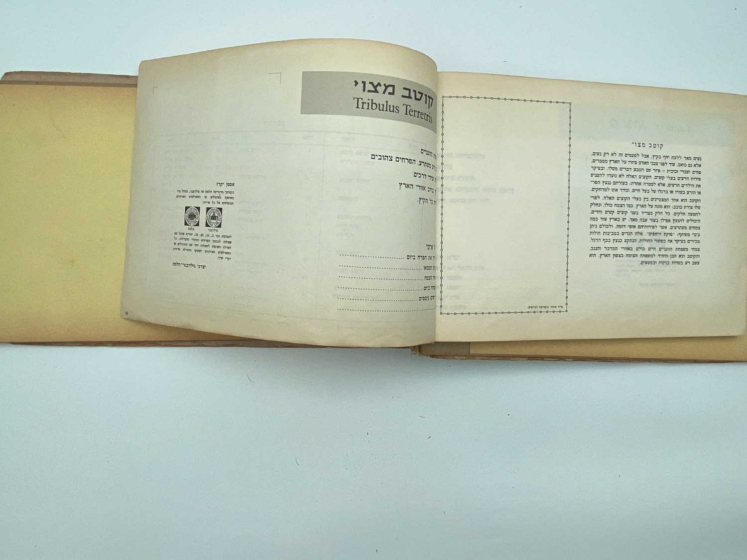 אלבומי מדבקות - אלבום מדבקות פרחי בר בישראל, שלושה חוסרים
פרחי בר בישראל מבצע גולד בנד תלמה בחסות רשות ... - 1 36