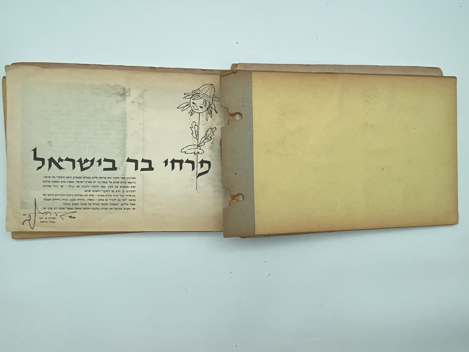 אלבומי מדבקות - אלבום מדבקות פרחי בר בישראל, שלושה חוסרים
פרחי בר בישראל מבצע גולד בנד תלמה בחסות רשות ... - 1 22