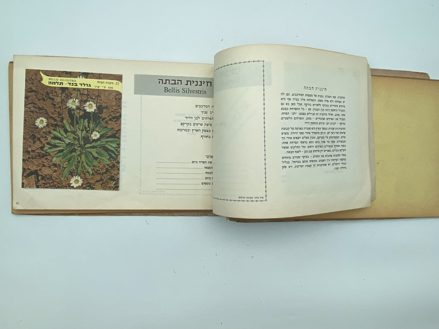 אלבומי מדבקות - אלבום מדבקות פרחי בר בישראל, שלושה חוסרים
פרחי בר בישראל מבצע גולד בנד תלמה בחסות רשות ... - 1 5