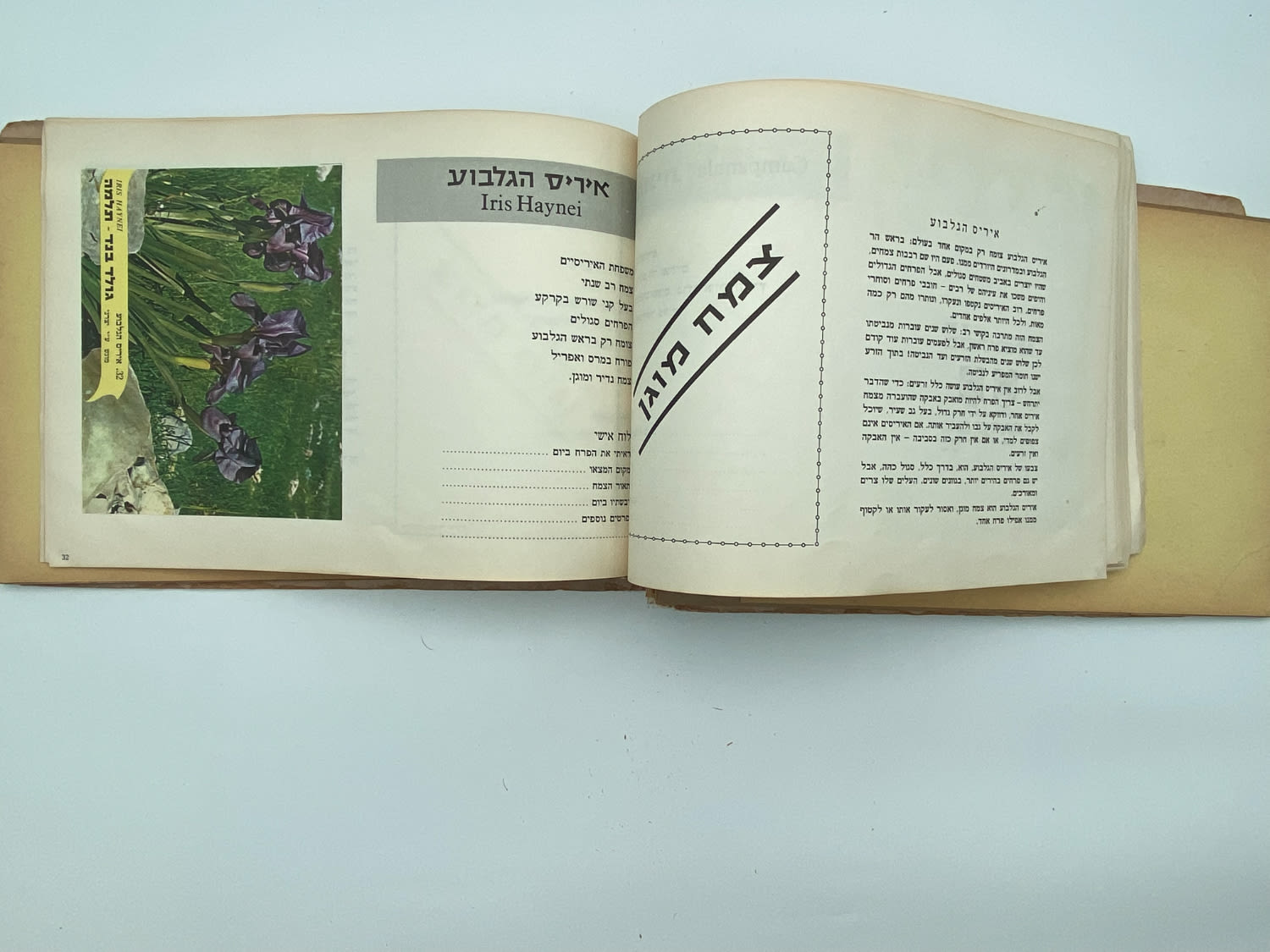 אלבומי מדבקות - אלבום מדבקות פרחי בר בישראל, שלושה חוסרים
פרחי בר בישראל מבצע גולד בנד תלמה בחסות רשות ... - 1 27