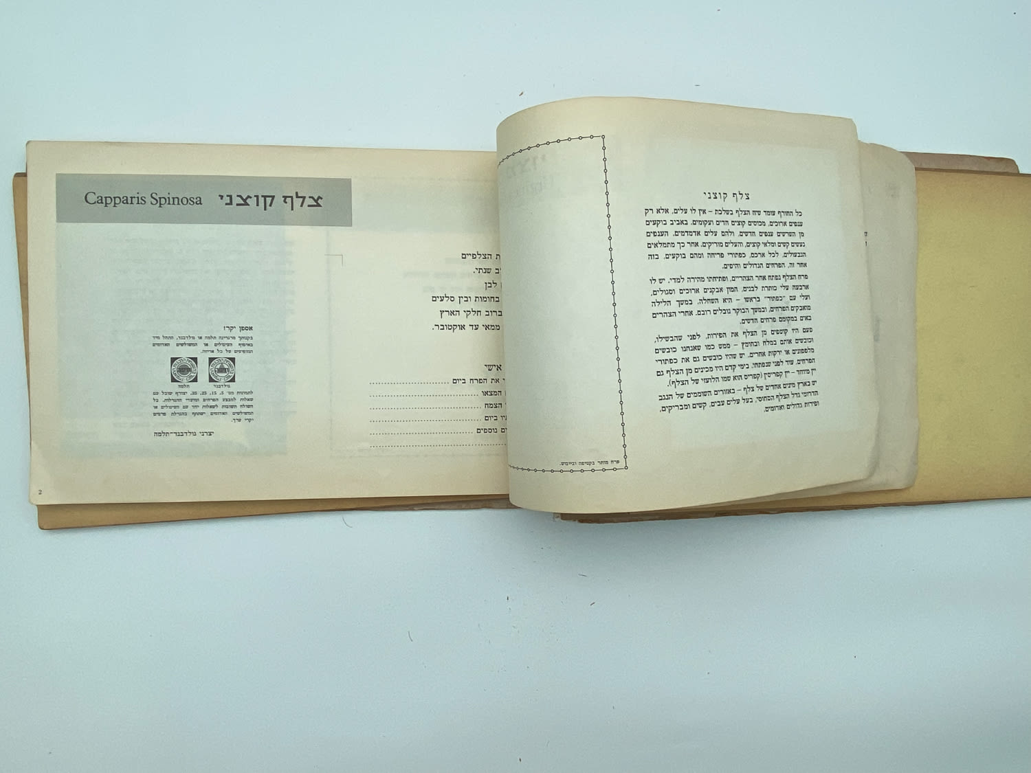 אלבומי מדבקות - אלבום מדבקות פרחי בר בישראל, שלושה חוסרים
פרחי בר בישראל מבצע גולד בנד תלמה בחסות רשות ... - 1 40