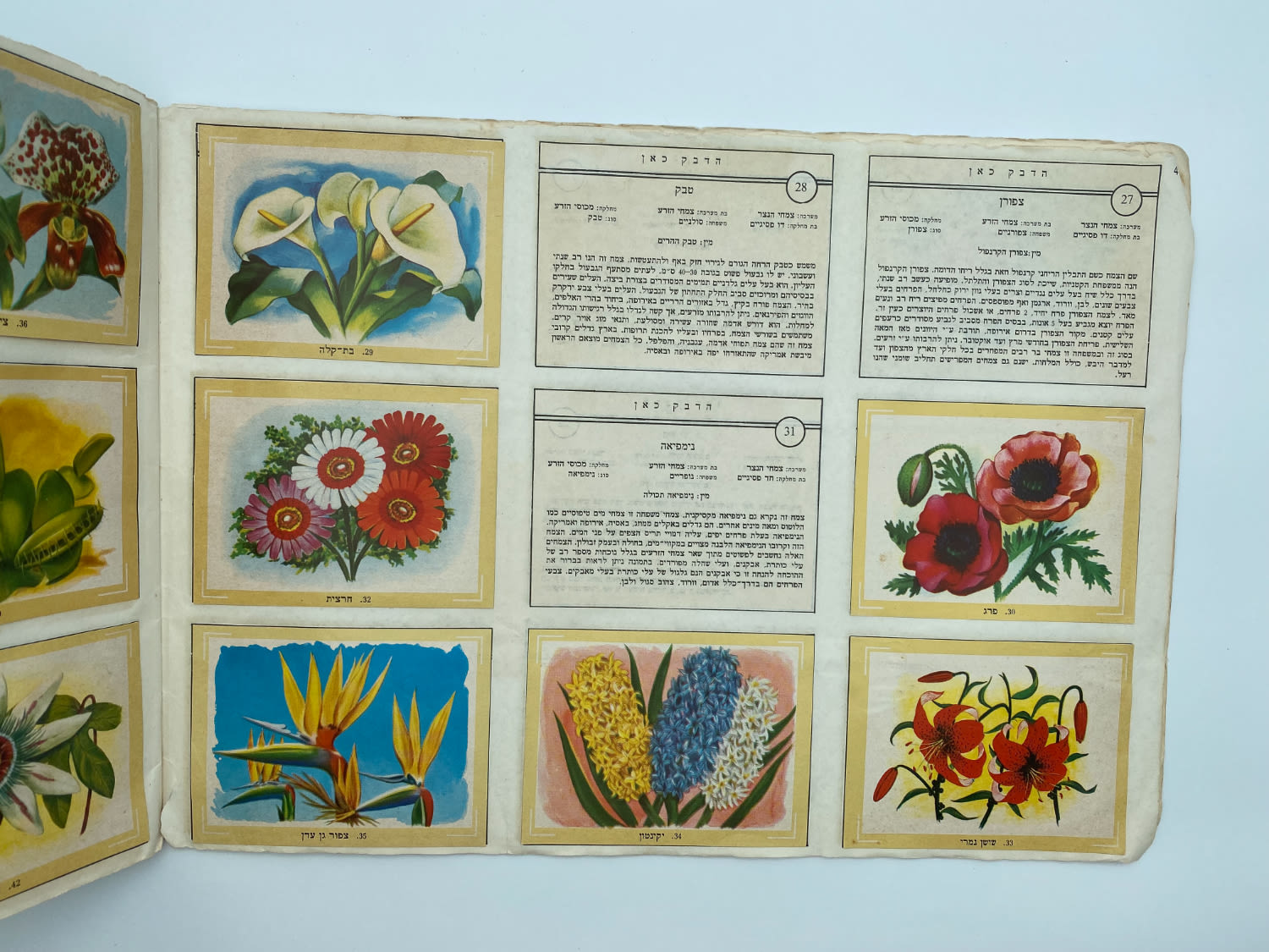 אלבומי מדבקות - אלבום העולם המופלא מס' 2 "חי וצומח" - שנות השבעים
... - 1 47