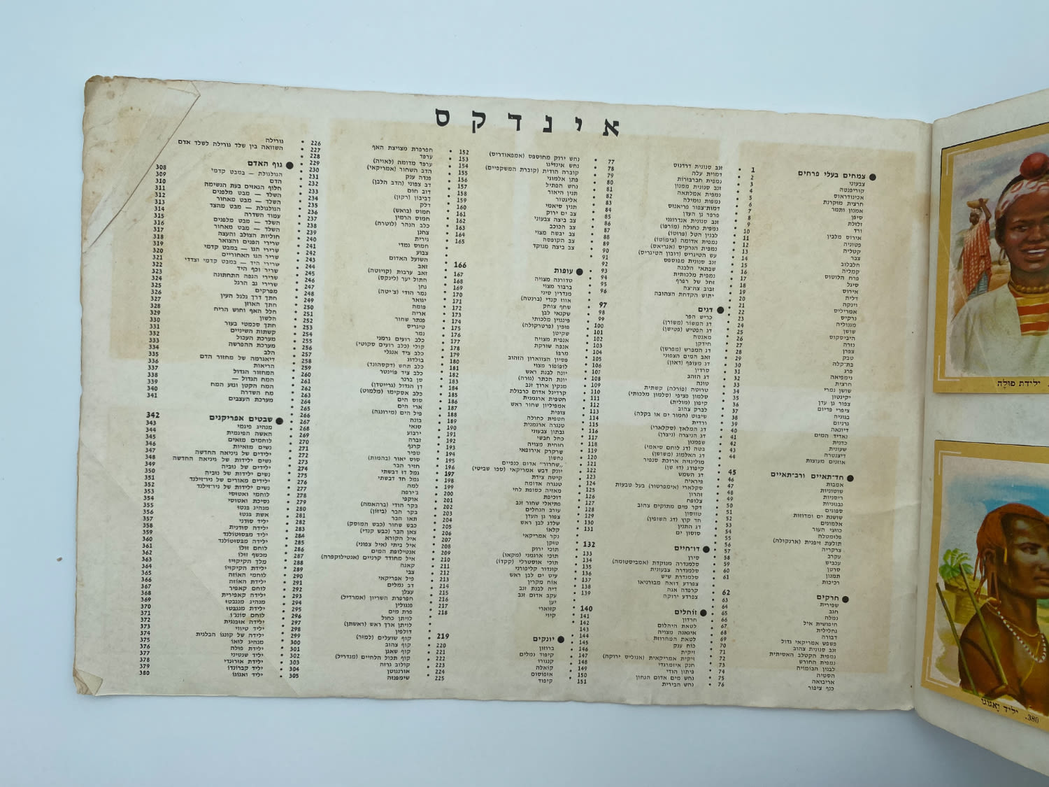 אלבומי מדבקות - אלבום העולם המופלא מס' 2 "חי וצומח" - שנות השבעים
... - 1 44