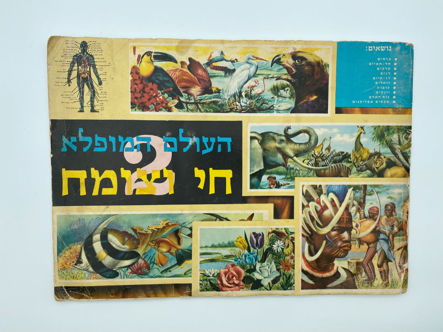 אלבומי מדבקות - אלבום העולם המופלא מס' 2 "חי וצומח" - שנות השבעים
... - 1 0