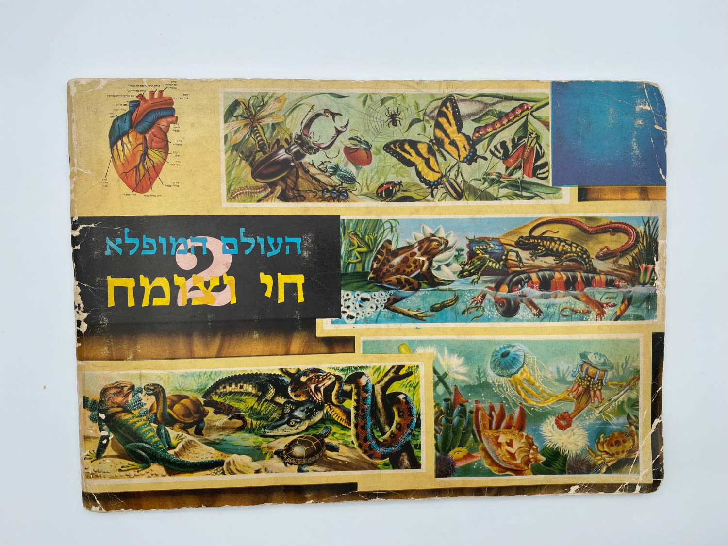 אלבומי מדבקות - אלבום העולם המופלא מס' 2 "חי וצומח" - שנות השבעים
... - 1 46