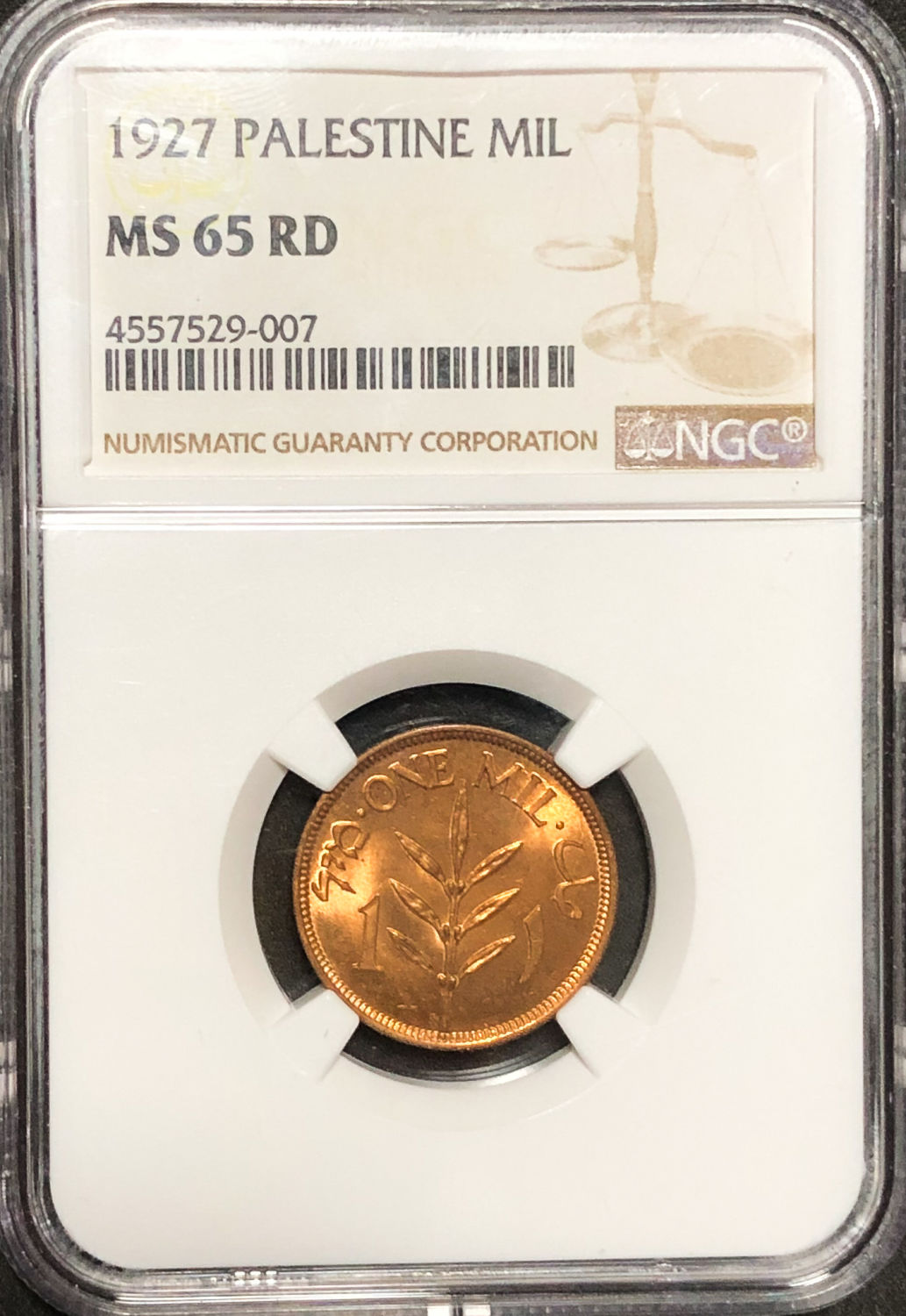 Palestine - 1 Mil 1927 - NGC 65 RD. - 1 2