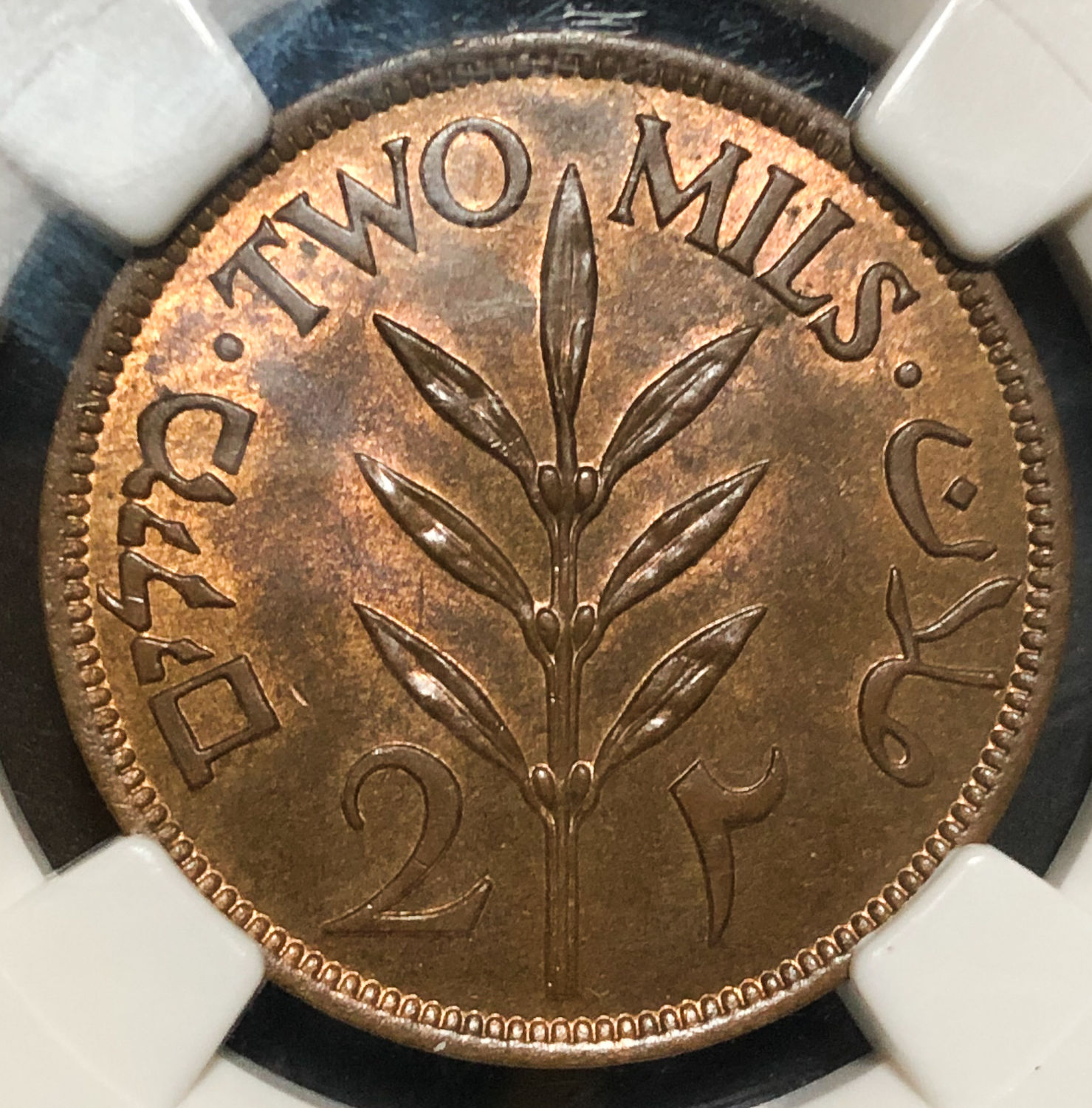 Palestine - 2 mil 1946 - NGC 64 RB. - 1 1
