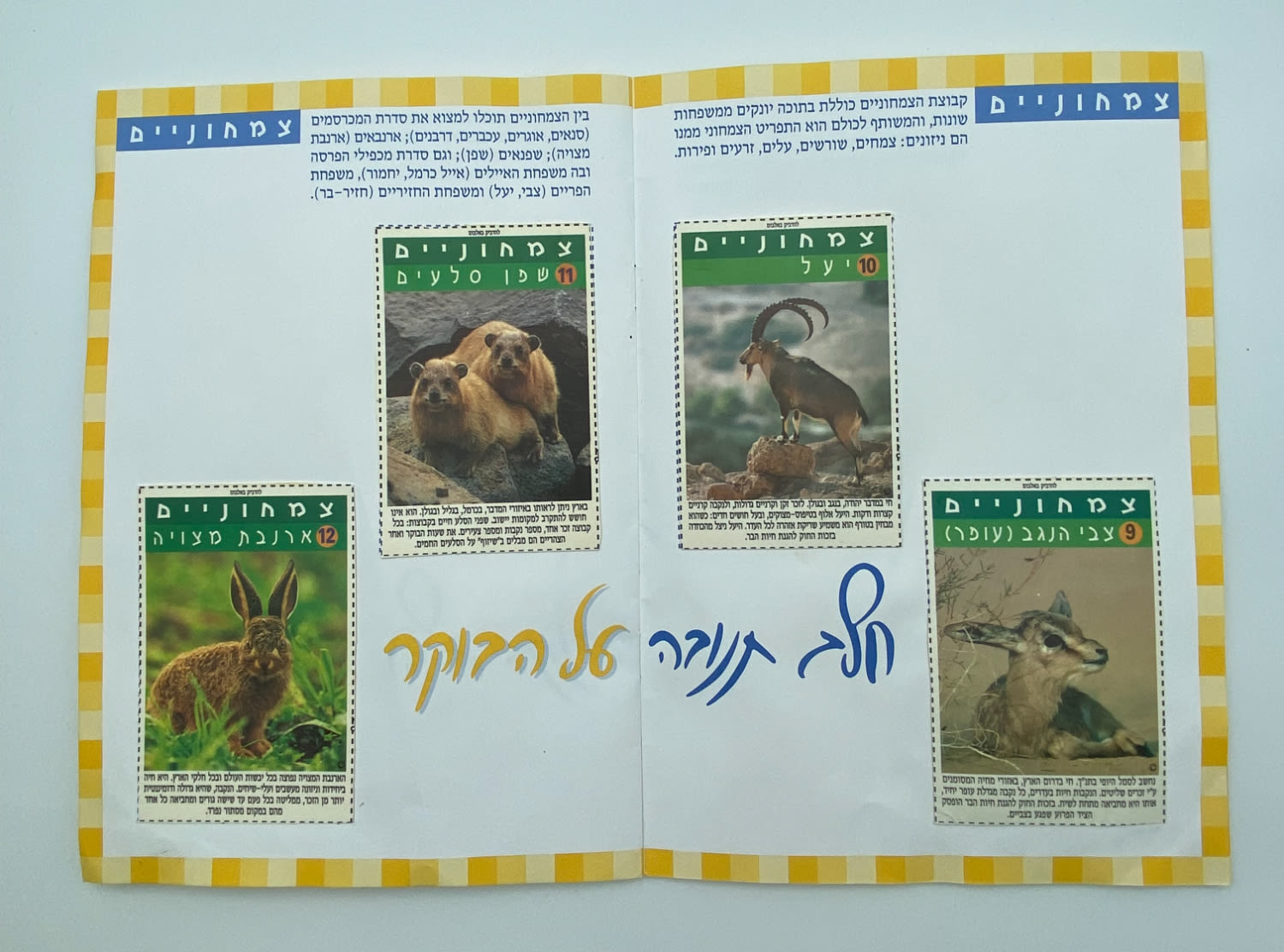 אלבומי מדבקות - "אלבום חיות הבר", חלב תנובה על הבוקר, החברה להגנת הטבע - אלבום נדיר ביותר, מצב חדש ומלא ללא ... - 1 6
