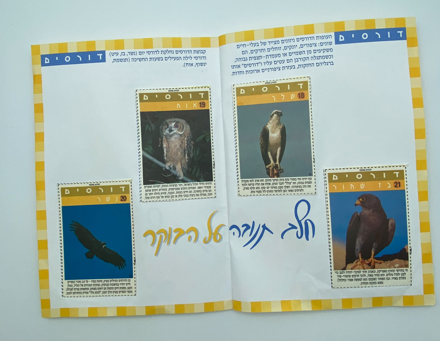 אלבומי מדבקות - "אלבום חיות הבר", חלב תנובה על הבוקר, החברה להגנת הטבע - אלבום נדיר ביותר, מצב חדש ומלא ללא ... - 1 8
