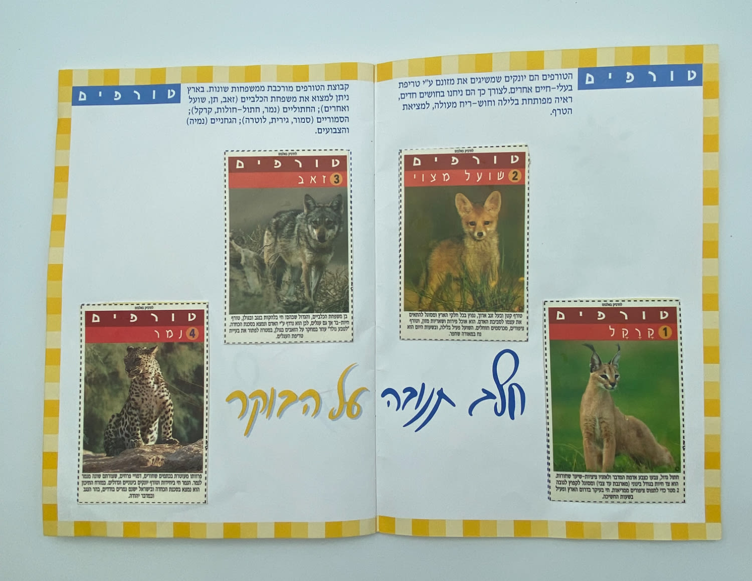 אלבומי מדבקות - "אלבום חיות הבר", חלב תנובה על הבוקר, החברה להגנת הטבע - אלבום נדיר ביותר, מצב חדש ומלא ללא ... - 1 4
