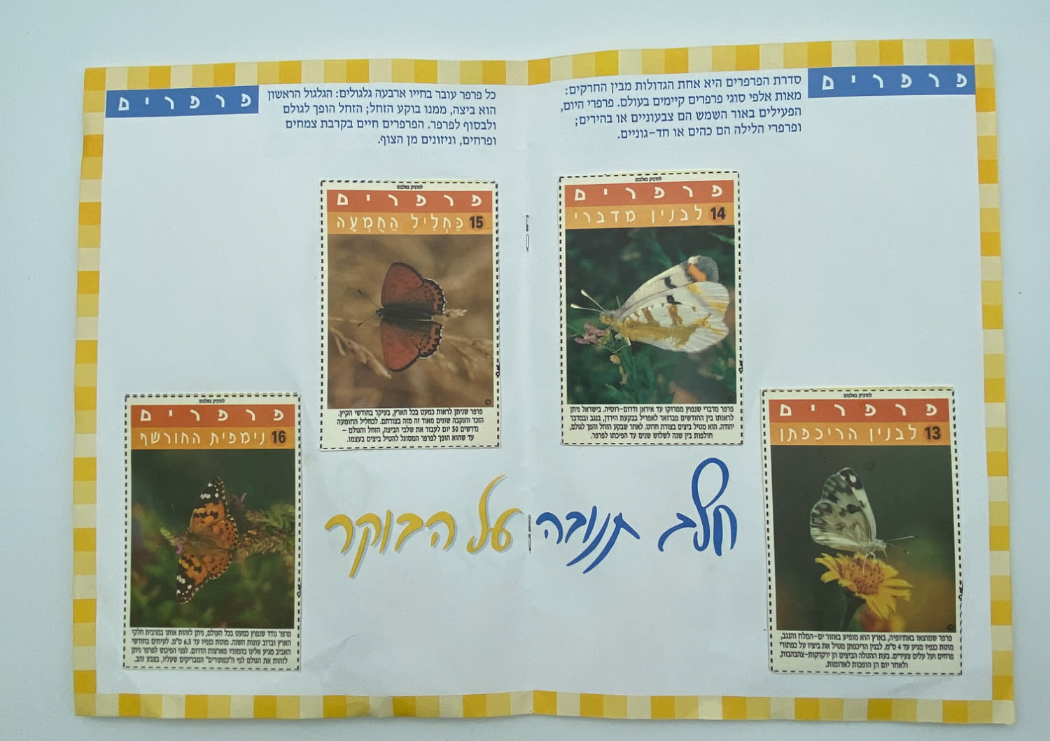אלבומי מדבקות - "אלבום חיות הבר", חלב תנובה על הבוקר, החברה להגנת הטבע - אלבום נדיר ביותר, מצב חדש ומלא ללא ... - 1 7