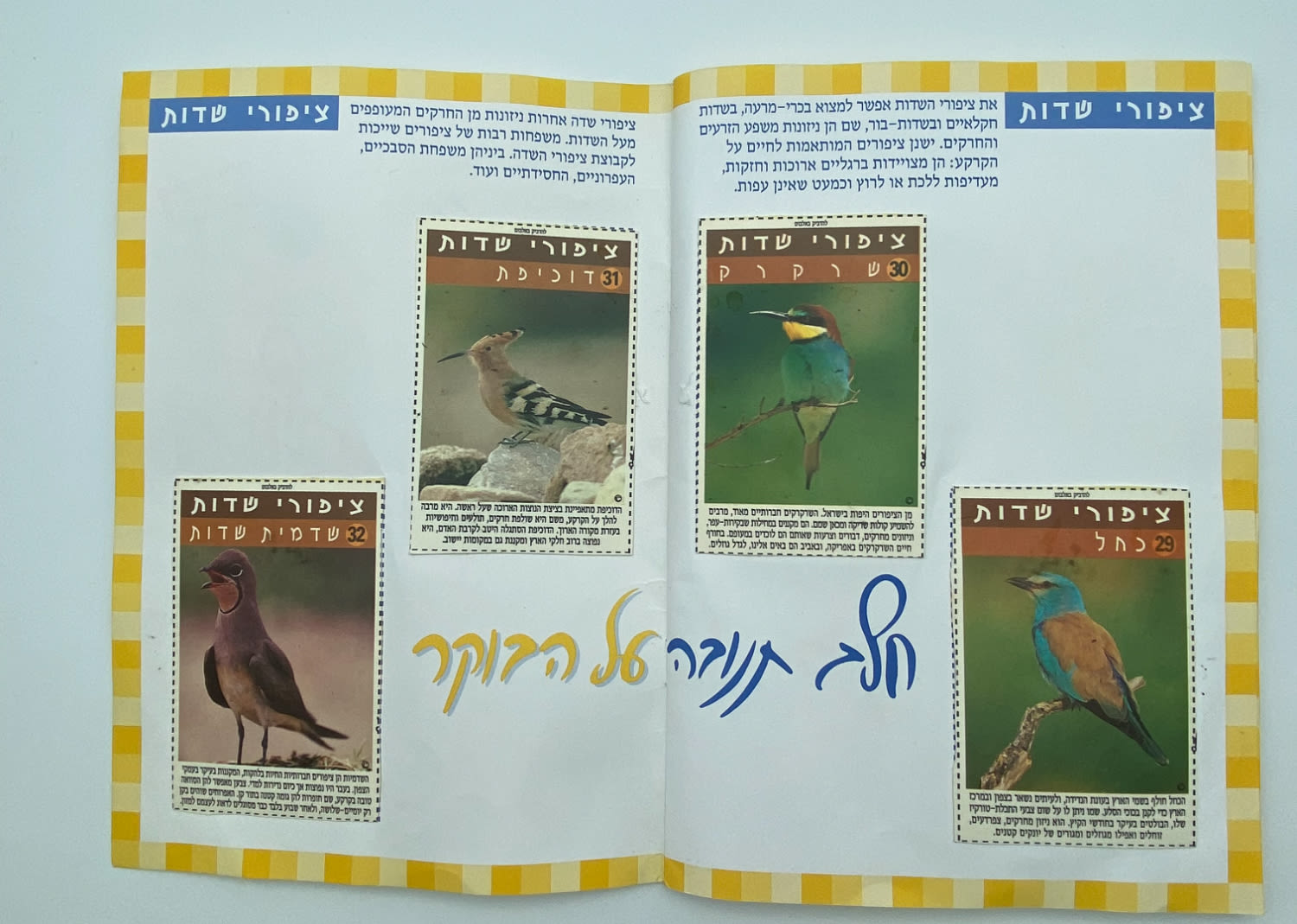 אלבומי מדבקות - "אלבום חיות הבר", חלב תנובה על הבוקר, החברה להגנת הטבע - אלבום נדיר ביותר, מצב חדש ומלא ללא ... - 1 1