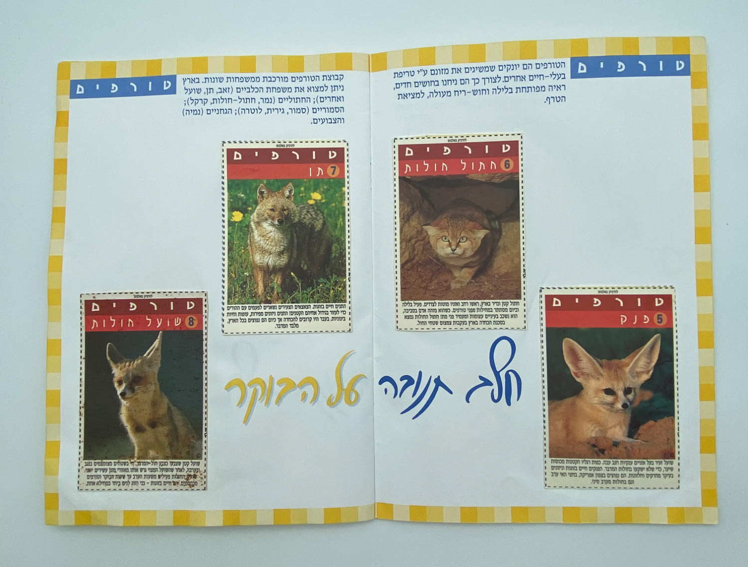 אלבומי מדבקות - "אלבום חיות הבר", חלב תנובה על הבוקר, החברה להגנת הטבע - אלבום נדיר ביותר, מצב חדש ומלא ללא ... - 1 5