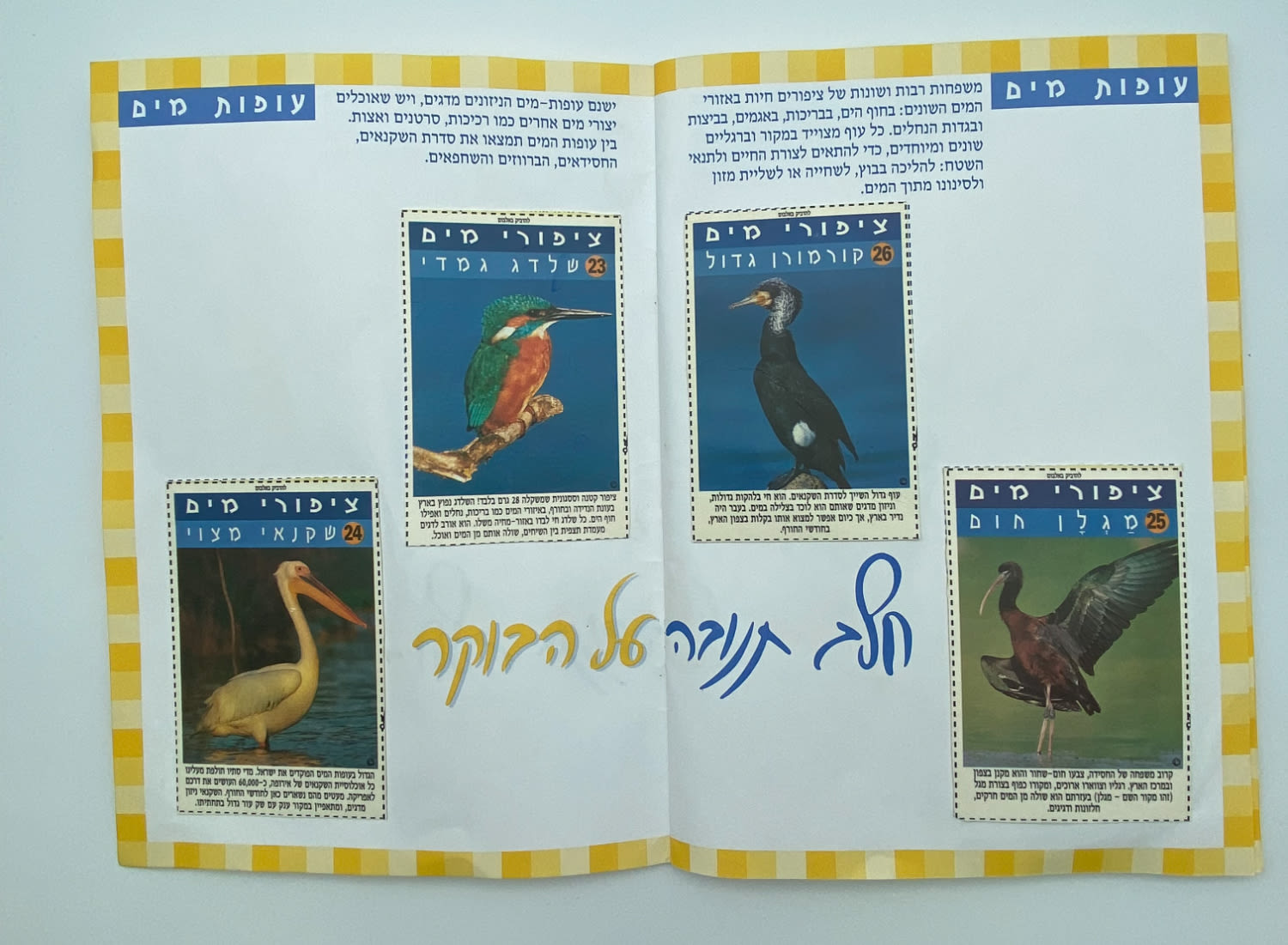 אלבומי מדבקות - "אלבום חיות הבר", חלב תנובה על הבוקר, החברה להגנת הטבע - אלבום נדיר ביותר, מצב חדש ומלא ללא ... - 1 9