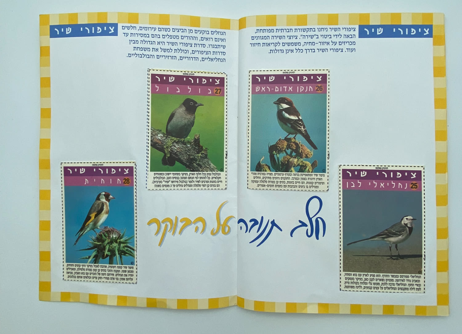 אלבומי מדבקות - "אלבום חיות הבר", חלב תנובה על הבוקר, החברה להגנת הטבע - אלבום נדיר ביותר, מצב חדש ומלא ללא ... - 1 10