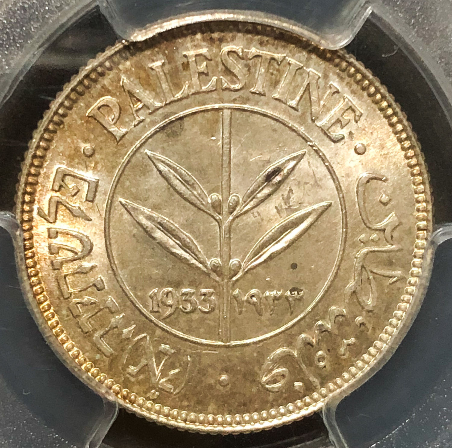 Palestine - 50 Mils 1933 - PCGS 63. - 1 0