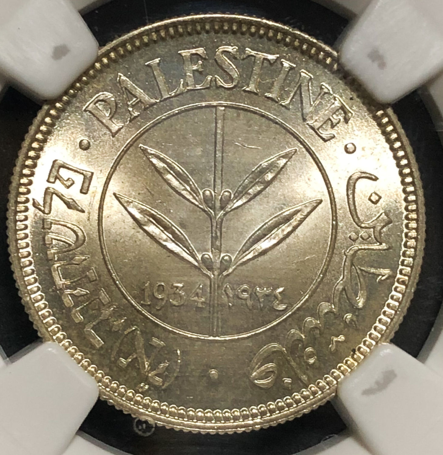 Palestine - 50 Mils 1934 - NGC 64. - 1 0