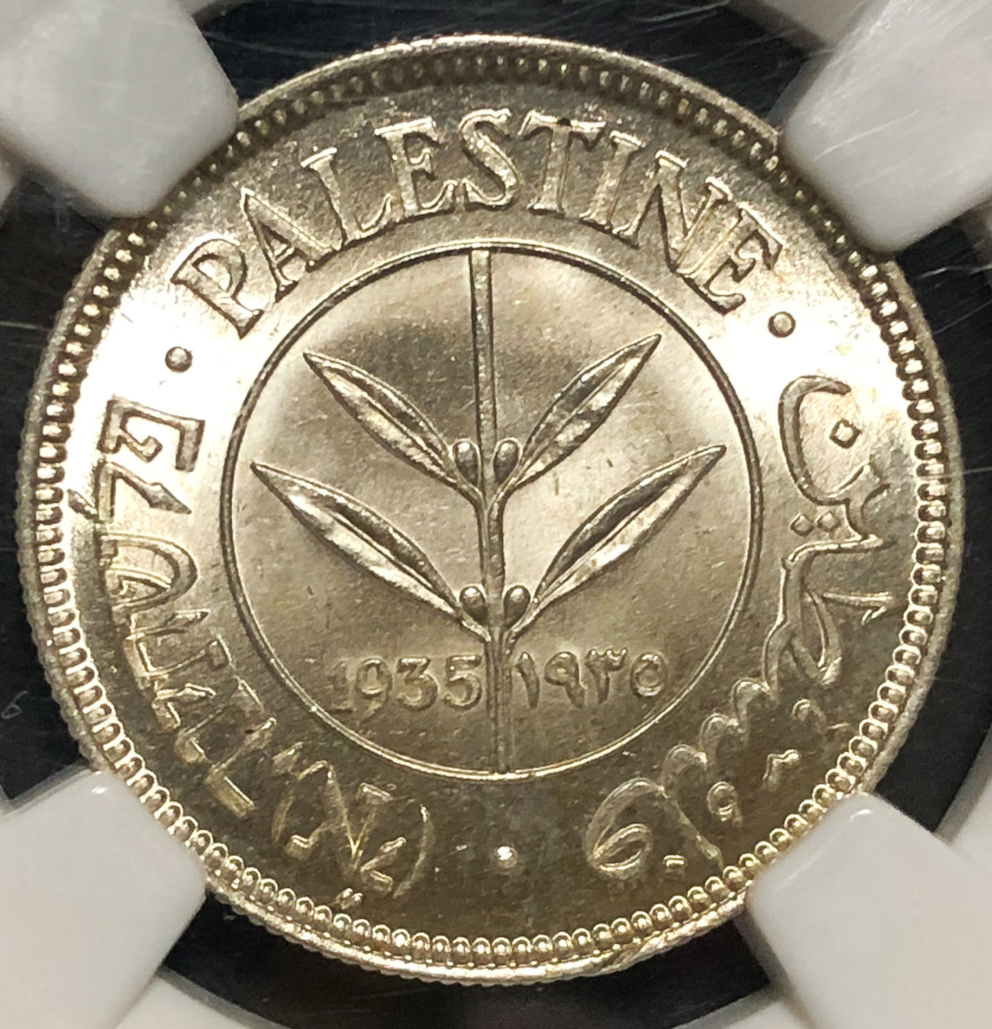 Palestine - 50 Mils 1935 - NGC 64. - 1 0