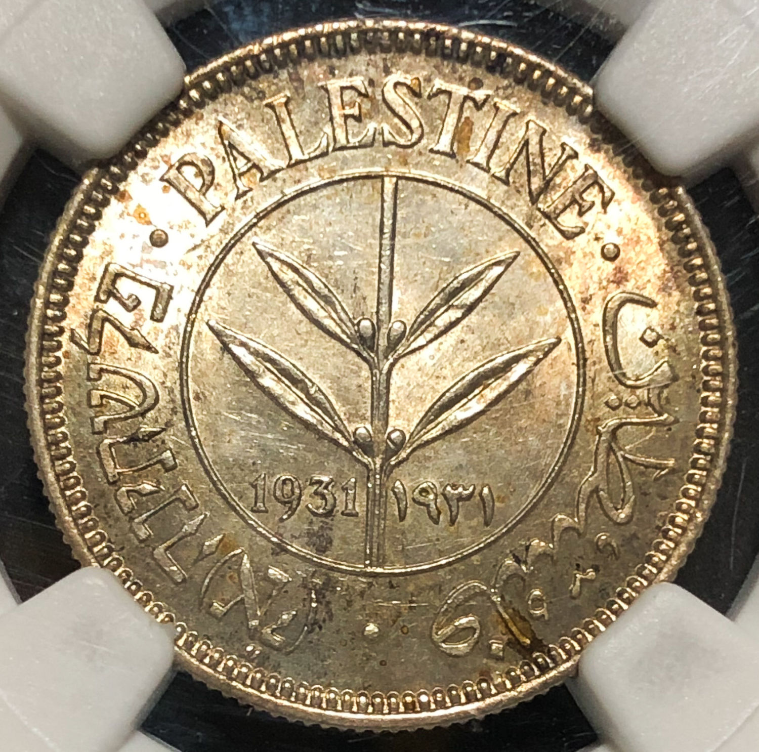 Palestine - 50 Mils 1931 - NGC 62. - 1 0