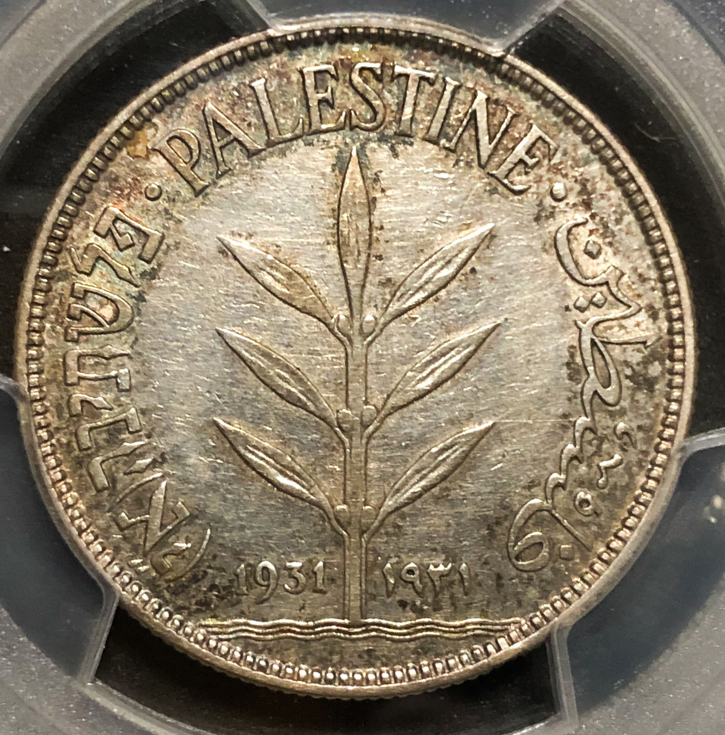 Palestine - 100 Mils 1931 - PCGS XF DETAILS - 1 0