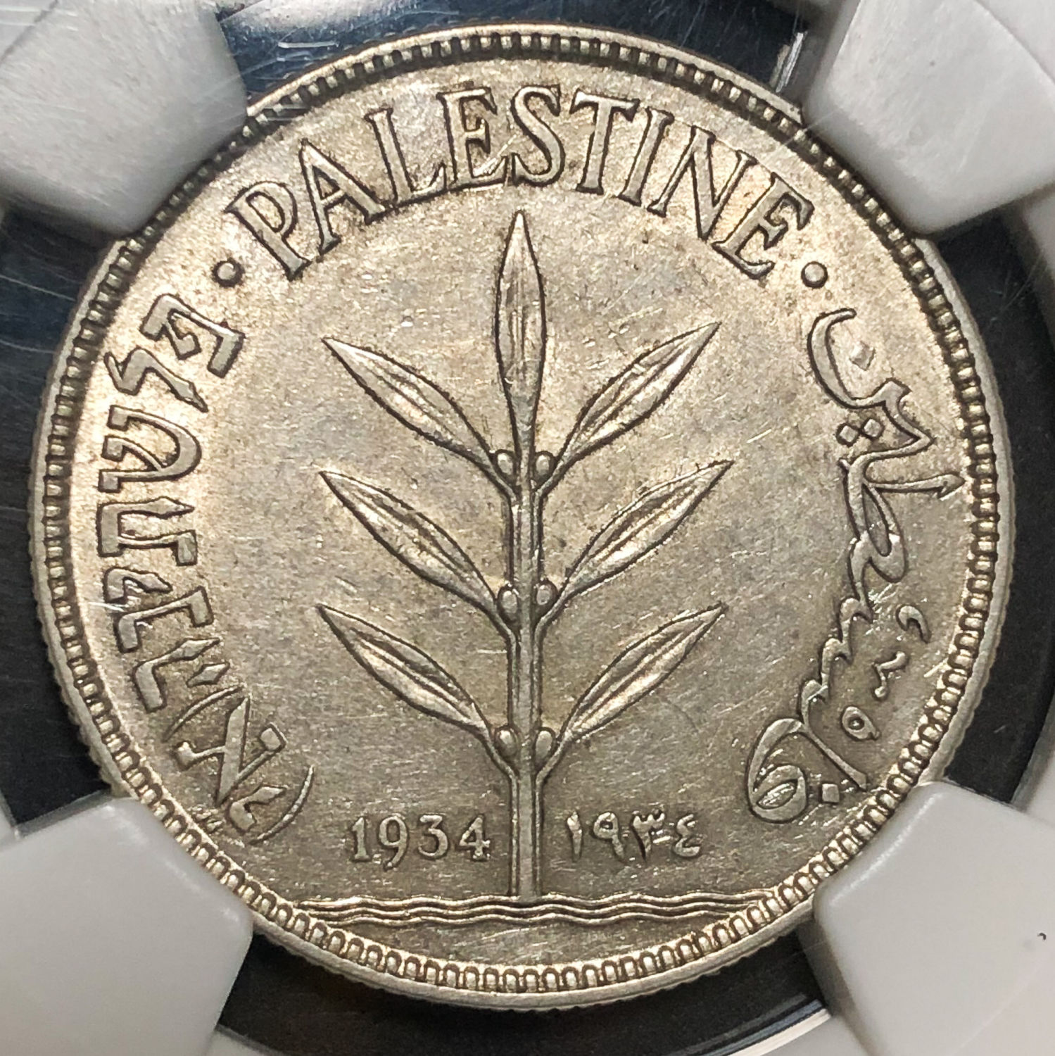 Palestine - 100 Mils 1934 - NGC AU 50. - 1 0