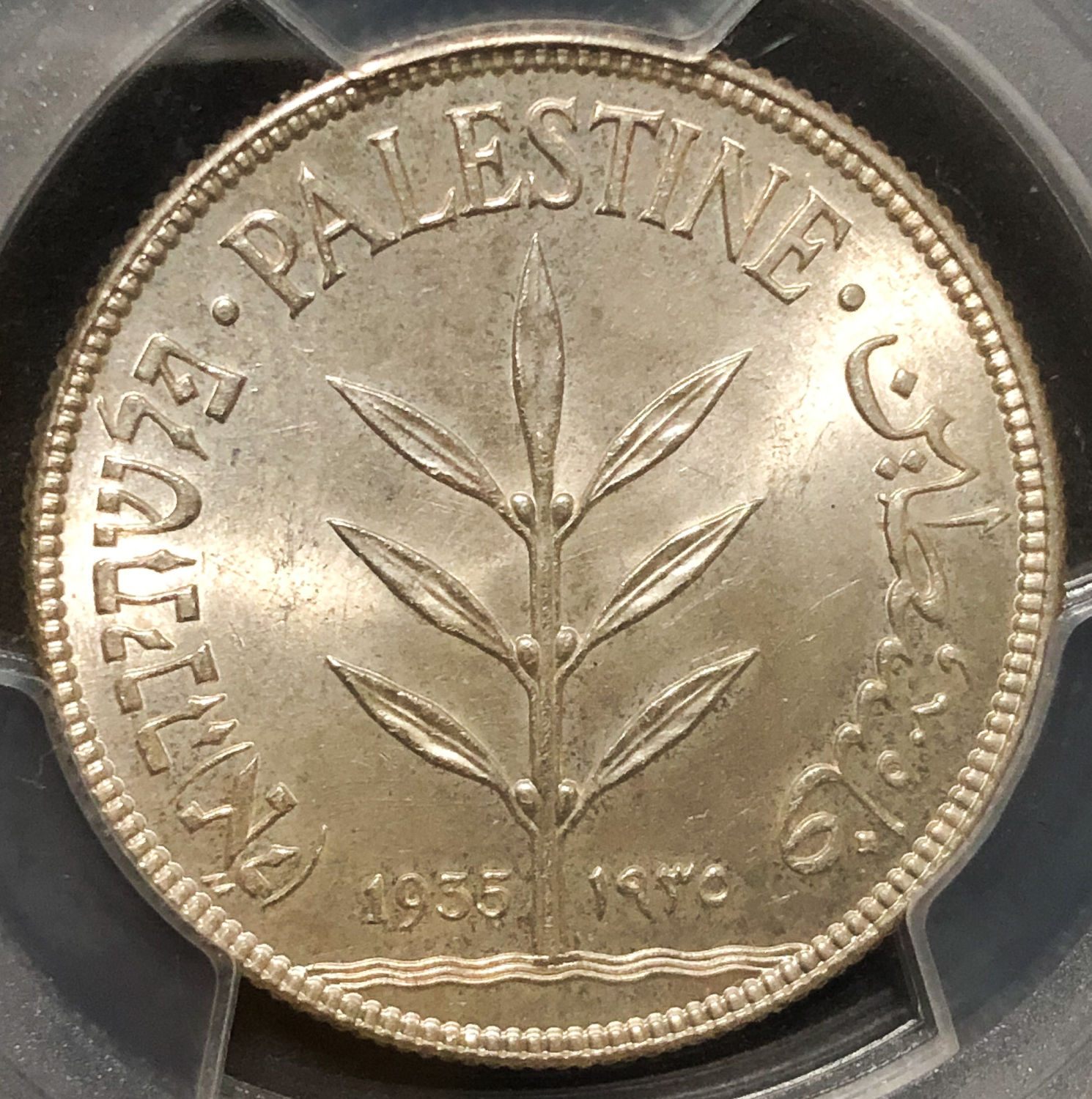 Palestine - 100 Mils 1935 - PCGS MS64. - 1 0