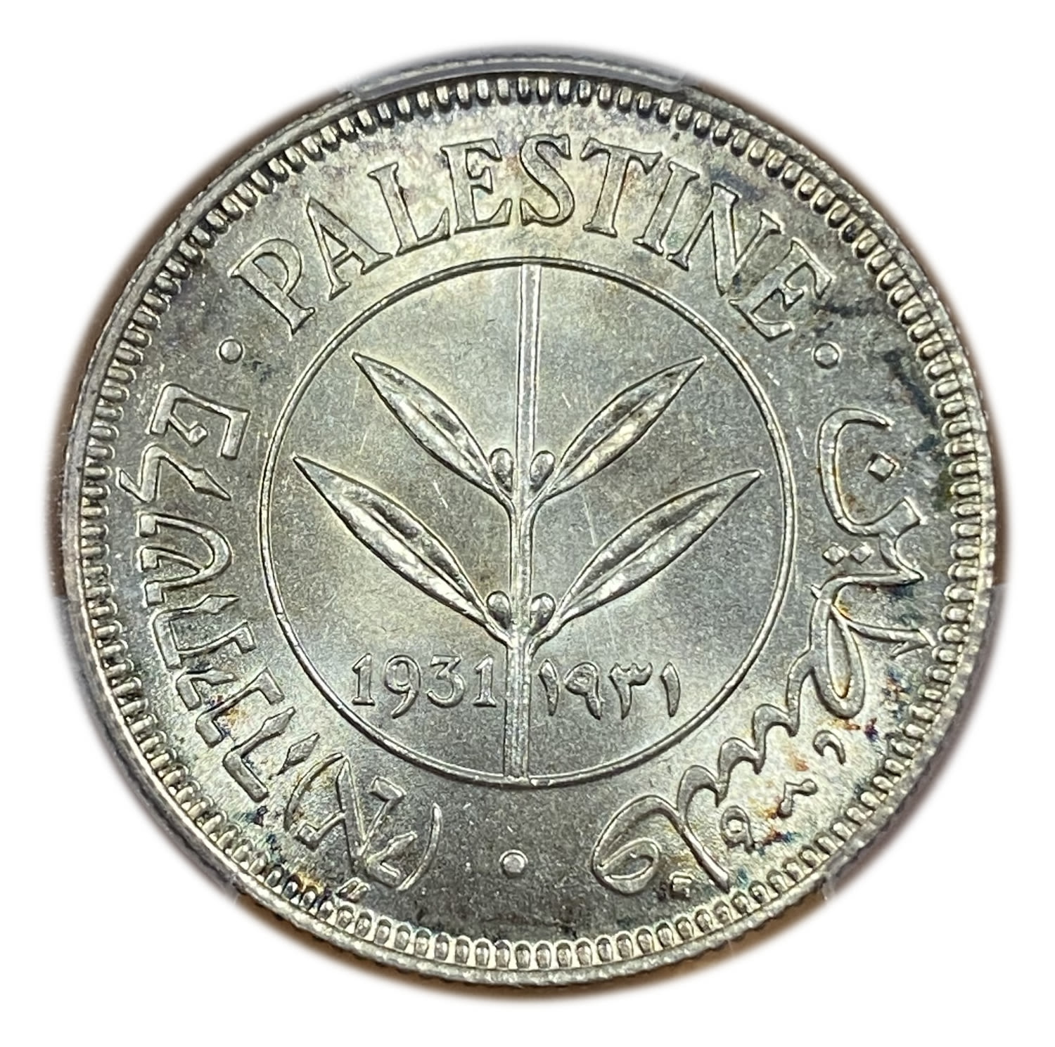 Palestine - 50 Mils 1931 - PCGS MS64 - Only one coin from this year in the world is graded above this grad - Very Rare - 1 0