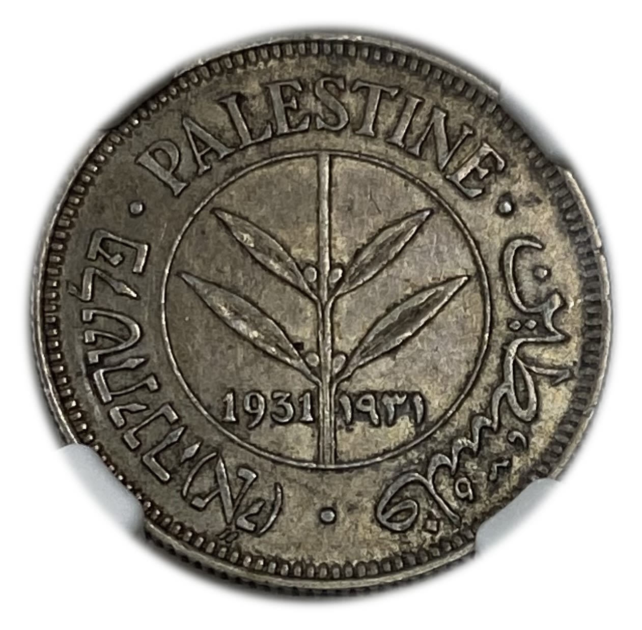 Palestine - 50 Mils 1931 - NGC AU 53 - 1 0