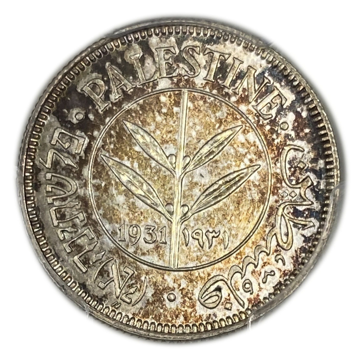 Palestine - 50 Mils 1931 - PCGS MS 62 - Rare - 1 0