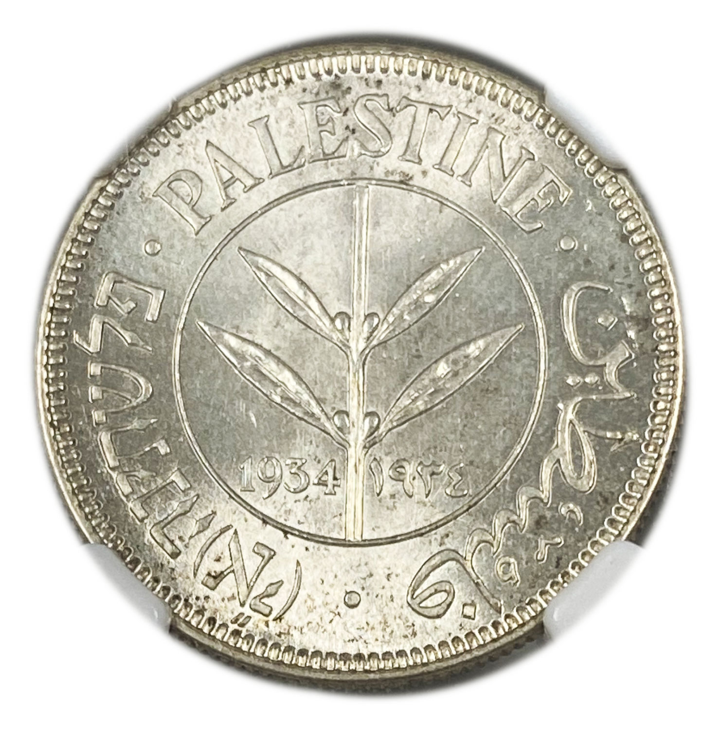 Palestine - 50 Mils 1934 - NGC MS 64 - High grade - 1 0