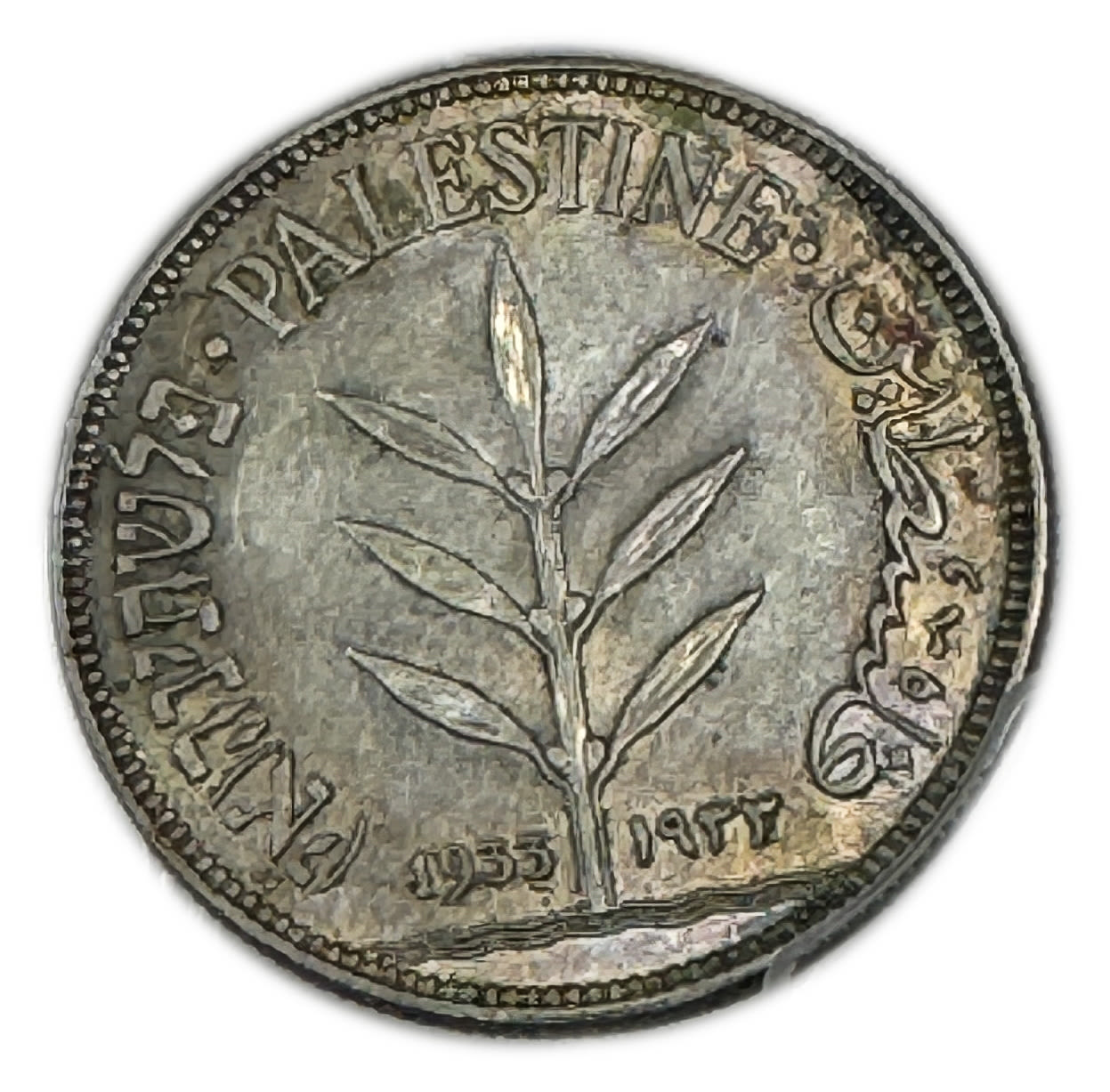 Palestine - 100 Mils 1933 - PCGS AU 55 - 1 0