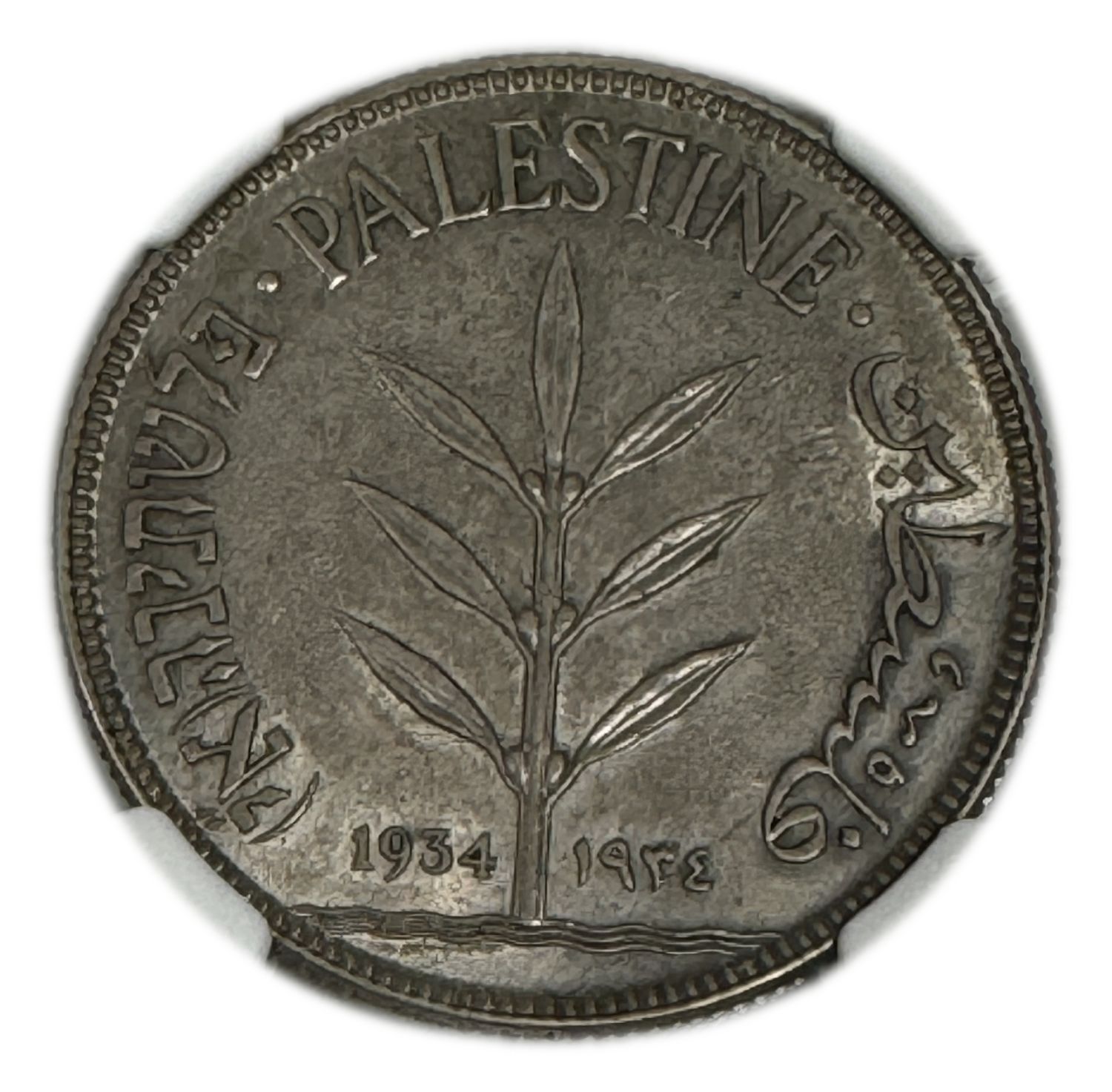 Palestine – 100 Mils 1934 – NGC AU 58 - 1 0