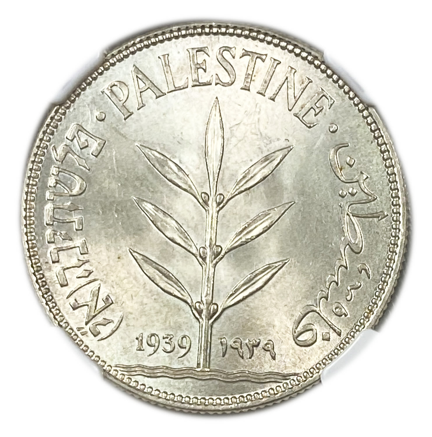 Palestine – 100 Mils 1939 – NGC MS 64 - Very high grade - 1 0