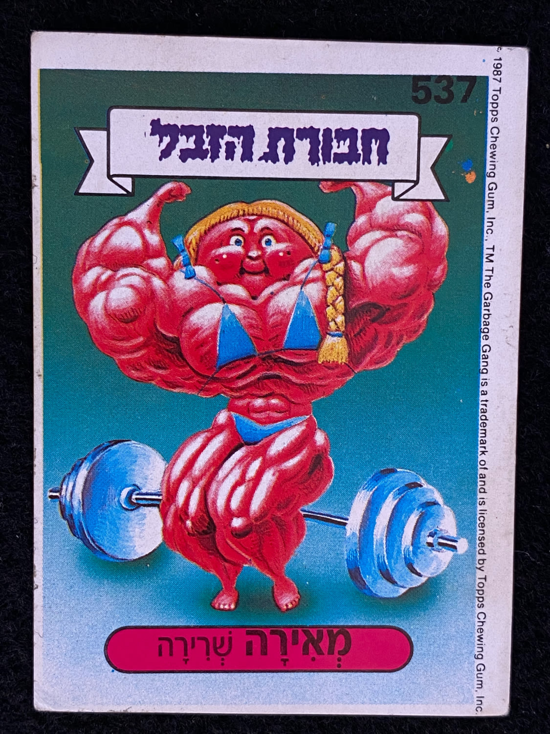 מדבקות לאלבומים - מדבקת חבורת הזבל - מדבקה מס' 537 - 1 0