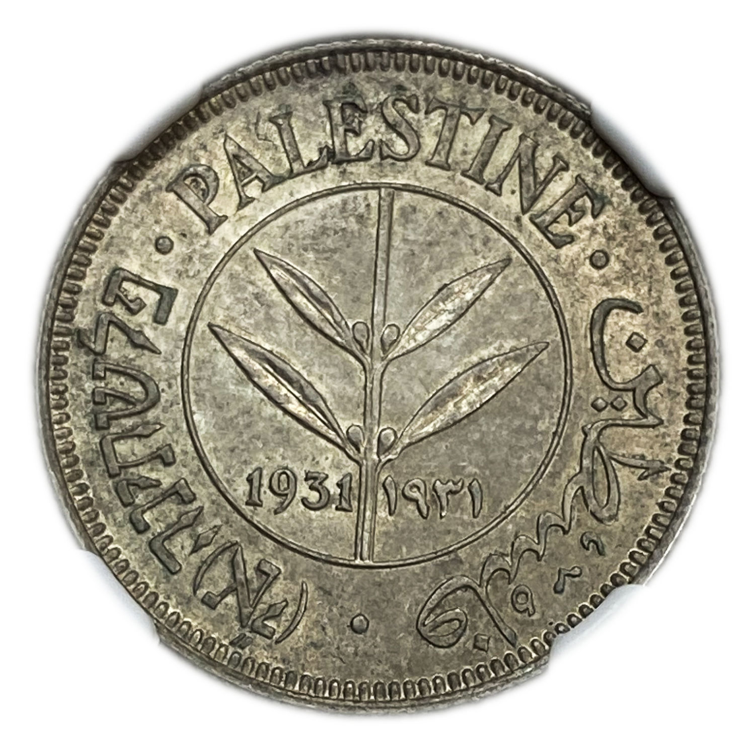 Palestine - 50 Mils 1931 - NGC MS 61 - UNC - Rare - 1 0