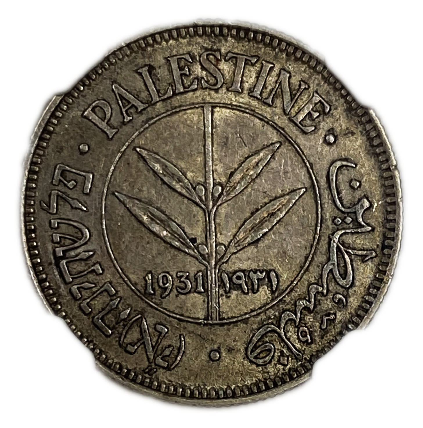 Palestine - 50 Mils 1931 - NGC AU 53 - 1 0