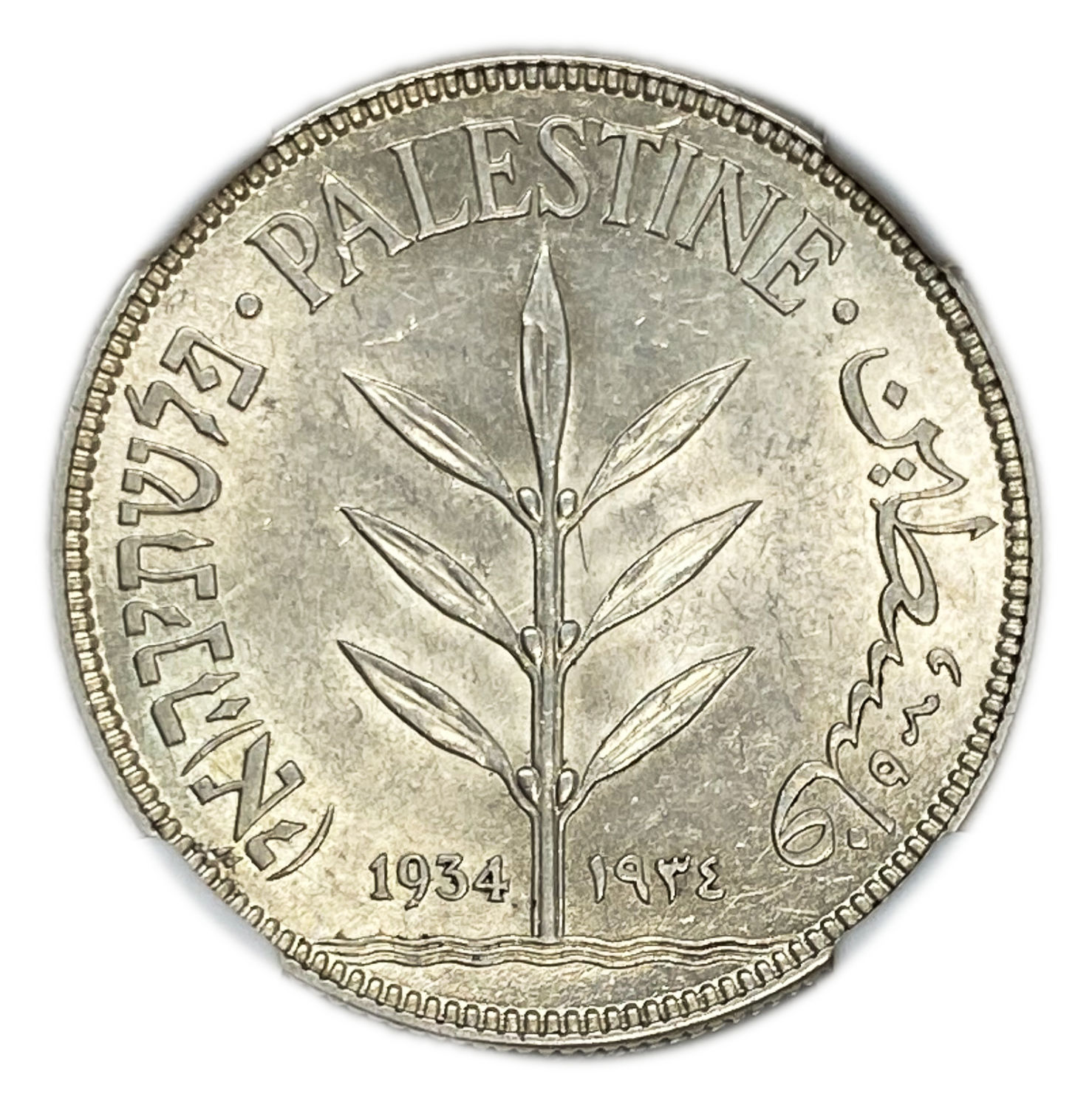 Palestine - 100 Mils 1934 - NGC MS 61 - Rare - 1 0