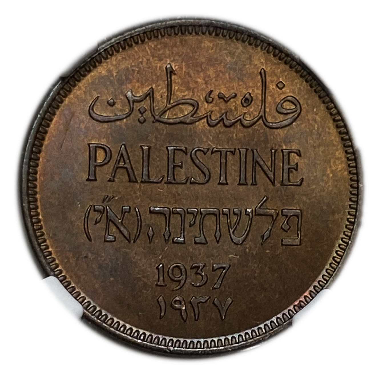 Palestine - 1 Mil 1937 - NGC 65 RB - UNC - Very high grade - 1 0